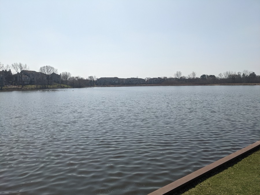 Peregrine Lake, Palatine